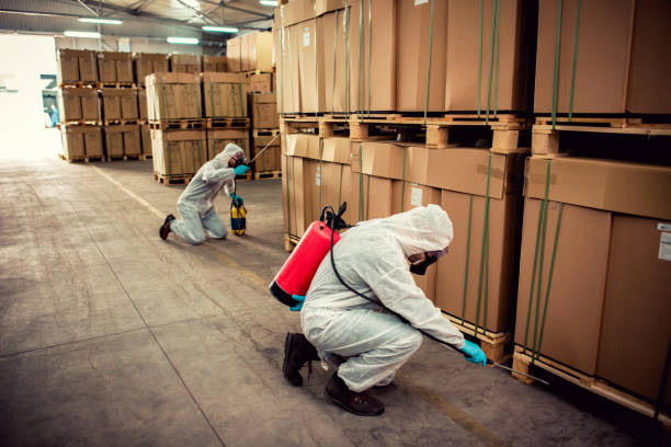 Best Affordable Pest Control Services  in Yacolt, WA
