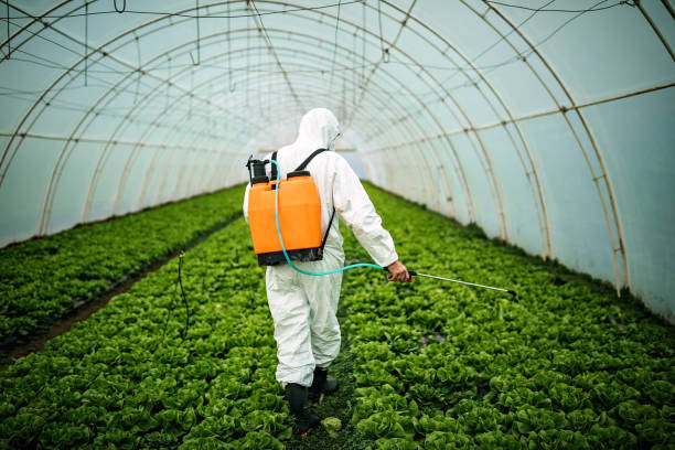 Best Pest Inspection Near Me  in Yacolt, WA