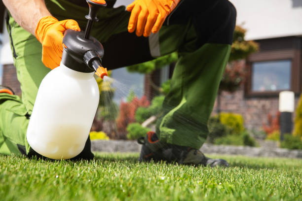 Best Exterminator Services  in Yacolt, WA