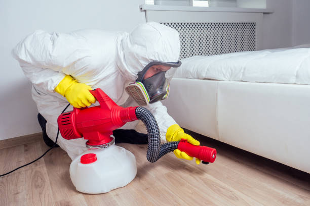Best Affordable Pest Control Services  in Yacolt, WA