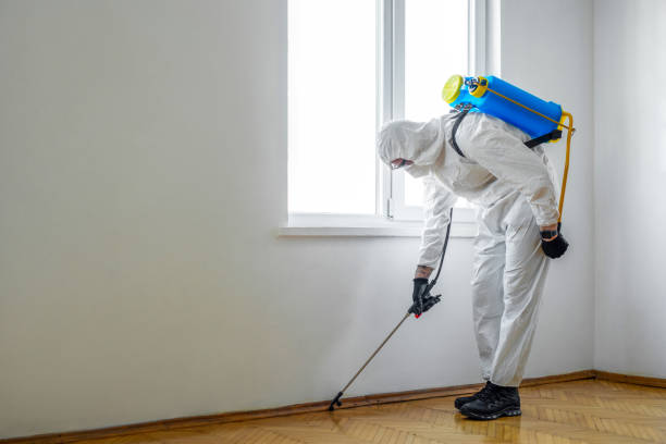 Best Mosquito Control Services  in Yacolt, WA
