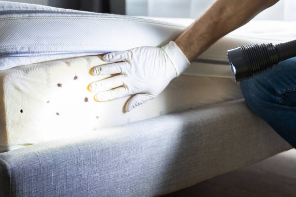 Best Pest Prevention Services  in Yacolt, WA