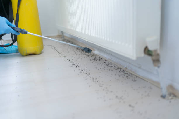 Best Affordable Exterminators  in Yacolt, WA