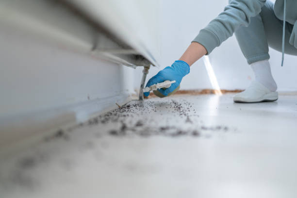 Best Emergency Pest Control  in Yacolt, WA