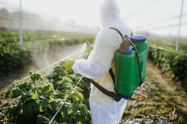 Best Pest Control Near Me  in Yacolt, WA
